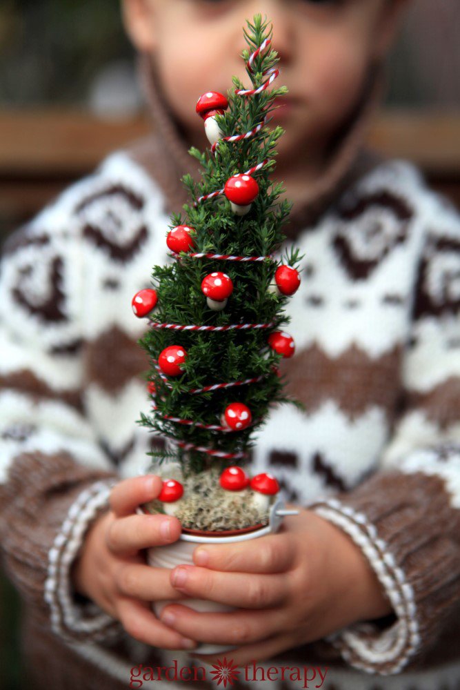 A Real Miniature Christmas Tree for the Gnomes