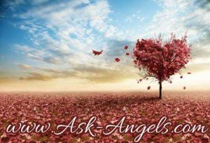 making the most of the angels