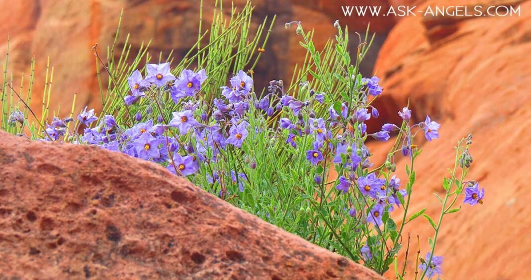 How to Communicate With Angels