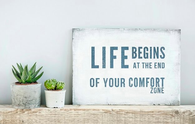 A poster about how life begins at the end of the comfort zone and two cactuses.