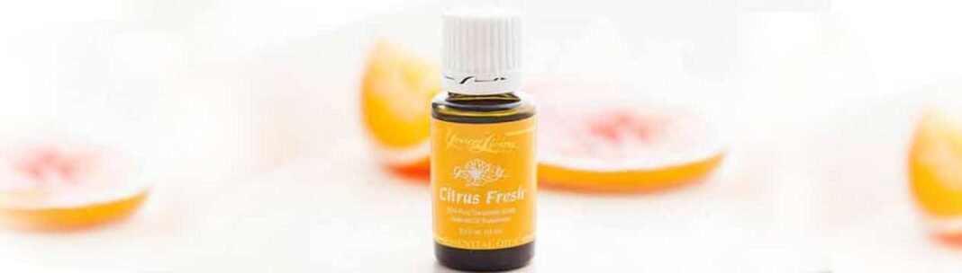 How to Raise Your Vibration with Essential Oils