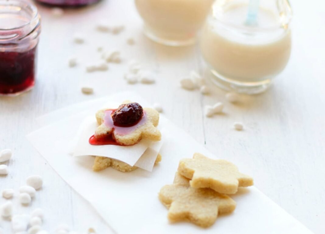 10 Vegan Cookies and Milk Combos Santa Will Love! – One Green Planet