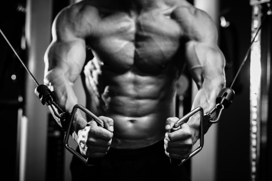 6 tips from the pros to build muscle  