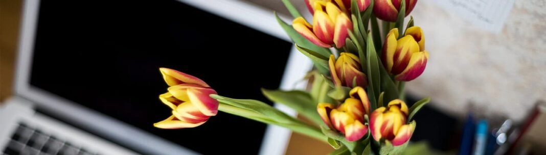 How to Align With Your Spiritual Career