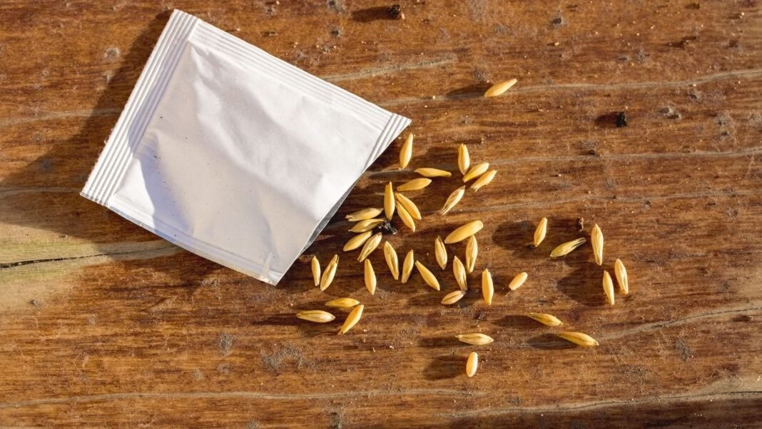 A close-up and overhead shot of an opened packet of plant ovules, placed on a wooden surface, showcasing how long seeds last