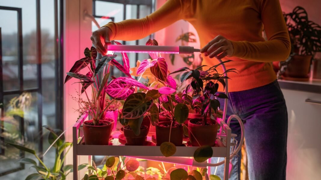 A close-up shot of a person in the process of installing and arranging luminating rods, showcasing the best grow lights vegetable seedlings