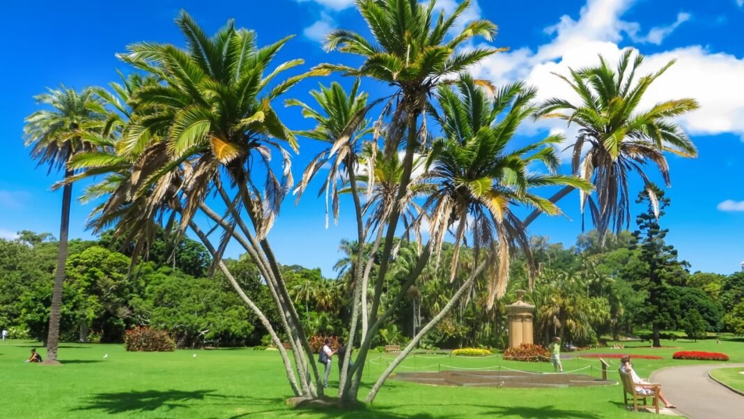 A close-up shot of a small composition of tropical plants all bent in opposite directions, showcasing how to fix leaning palm tree