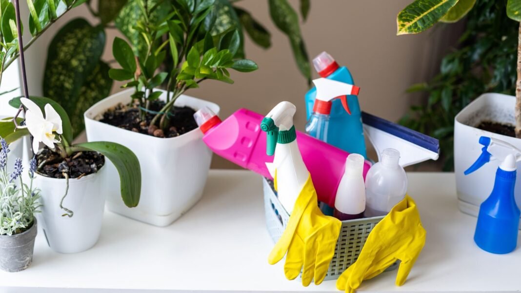A close-up shot of several cleaning materials placed on a basket alongside houseplants, showcasing how to sanitize planting pots