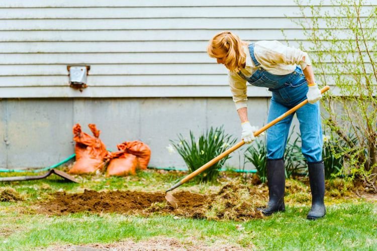 Spring Cleaning Decluttering Your Yard and Garden Tools