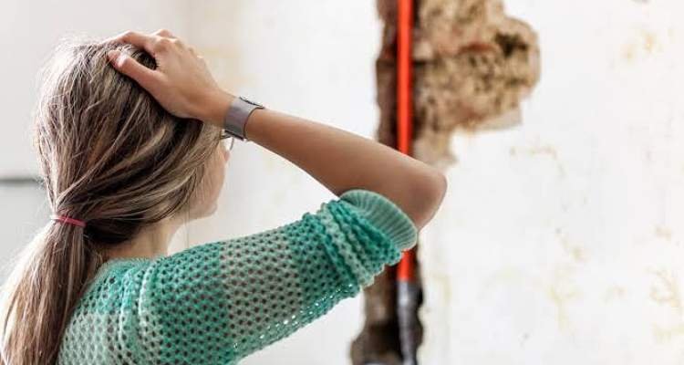 The Homeowners Guide to Water Damage Quick Solutions and Long Term Protection