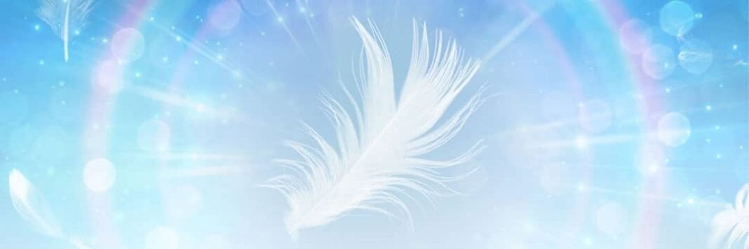 What Are Incarnated Angels?