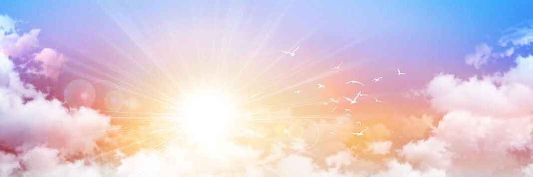 Elevating Your Life Experience