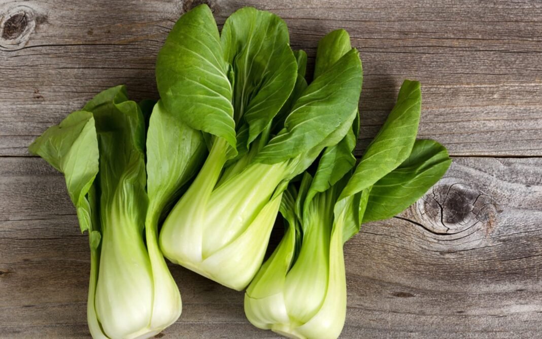 The Easiest Vegetables to Grow at Home for Winter Soups and Stews – One Green Planet