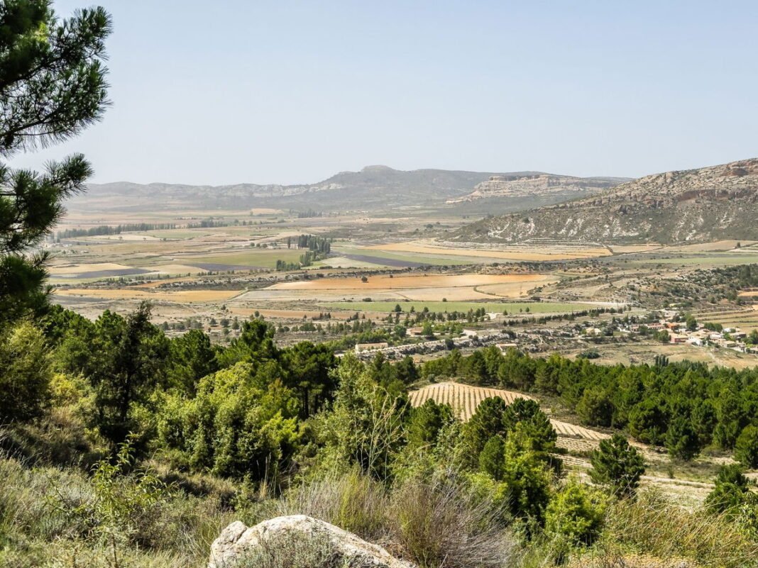 Elon Musk wants to power all of Europe with solar energy from rural Spain  