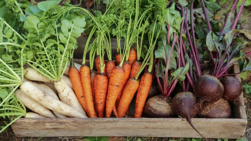 A-close-up-and-overhead-shot-of-a-wooden-crate-filled-with-freshly-harvested-crops-showcasing-which.jpeg A close-up and overhead shot of a wooden crate filled with freshly harvested crops, showcasing which vegetable seeds outside february