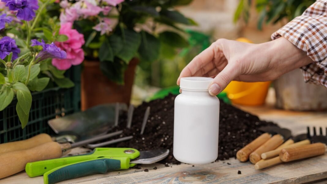 A close-up shot of a person placing a white bottle of liquid plant food, alongside other gardening tools and developing flowers, showcasing burn seedlings fertilizer
