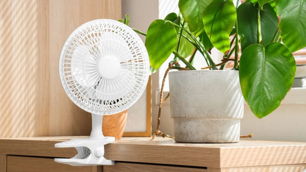 A-close-up-shot-of-a-small-clip-on-ventilator-placed-beside-a-potted-houseplant-indoors-showcasing-f.jpeg A close-up shot of a small clip-on ventilator, placed beside a potted houseplant indoors, showcasing fan seedlings