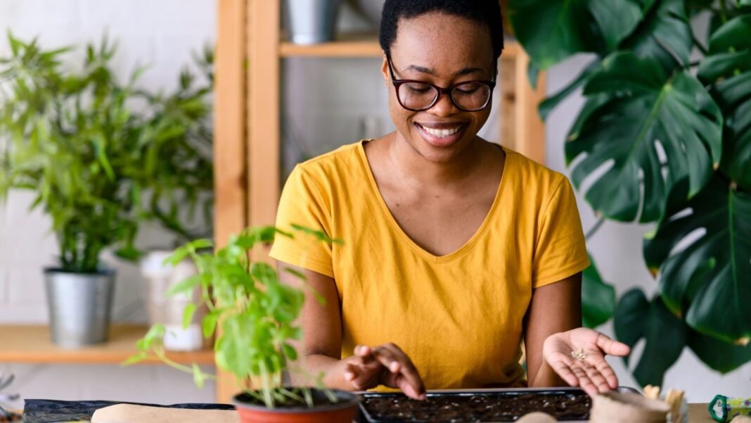 Knowing what plant february zone , considering the cold weather showing a woman starting seeds indoors with abundant bright light