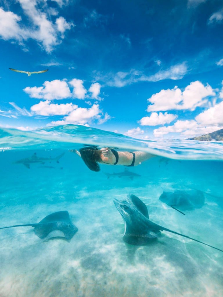 Tahiti Moorea Island Guide  