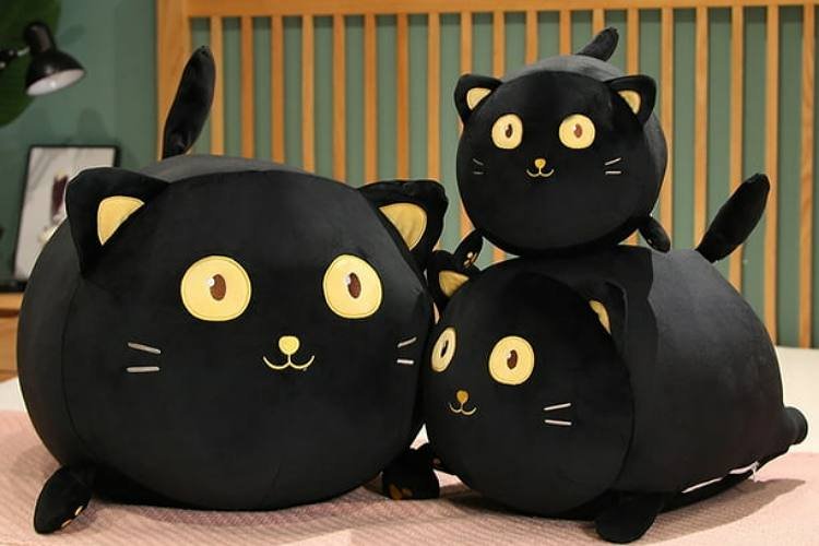 Why Home Shoppers Are Turning to Blackcat Exchange for Quality Products