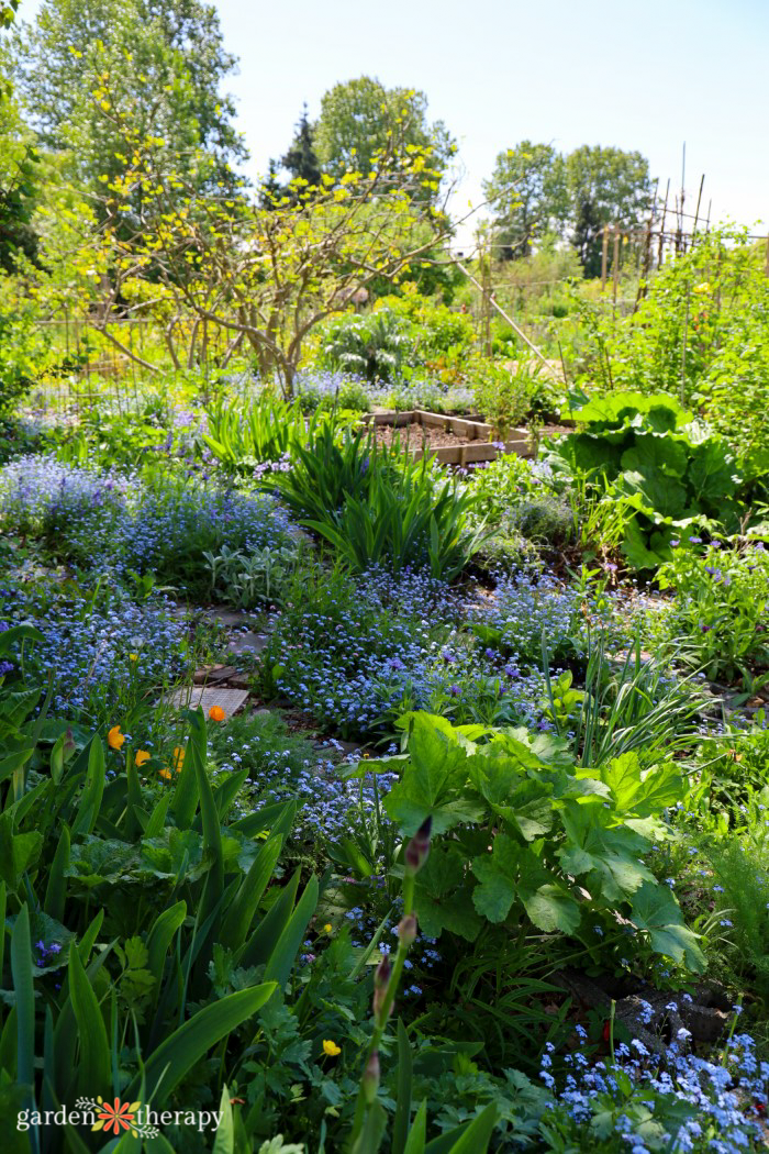 garden with permaculture design