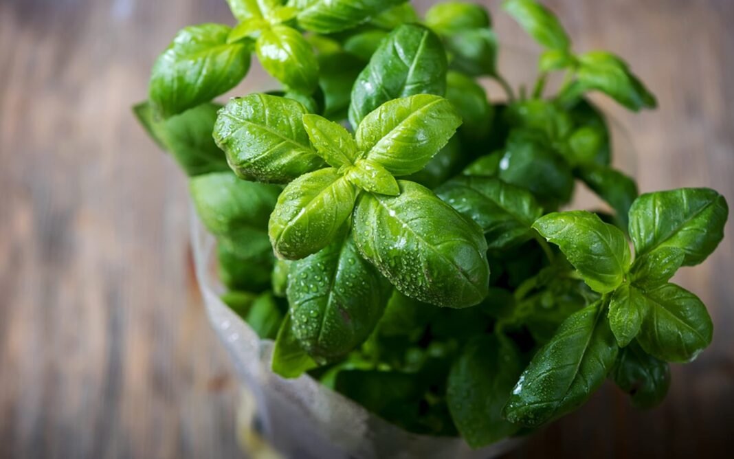 shutterstock_535446607.jpg 10 Must-Have Spices for Flavorful Veg Cooking – One Green Planet