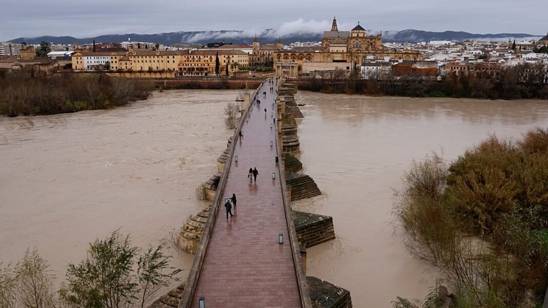 video. Storm aftermath: Aerial footage shows widespread flooding in Spain's Andalusia  