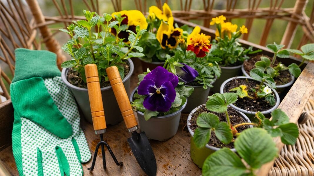 A-close-up-and-overhead-shot-of-a-small-group-of-potted-flowers-and-herbs-placed-alongside-gardening.jpeg A close-up and overhead shot of a small group of potted flowers and herbs, placed alongside gardening tools and equipment, showcasing what to plant march