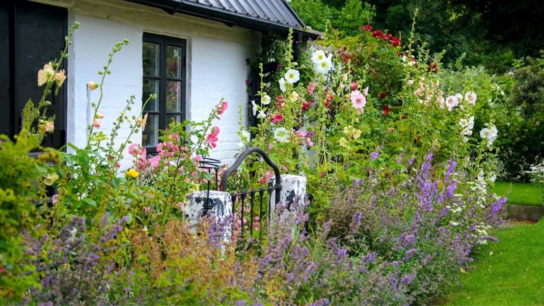 A close-up shot of a large composition of various plants and flowers, developing near a small stone fence in a yard area, showcasing cottage garden shade