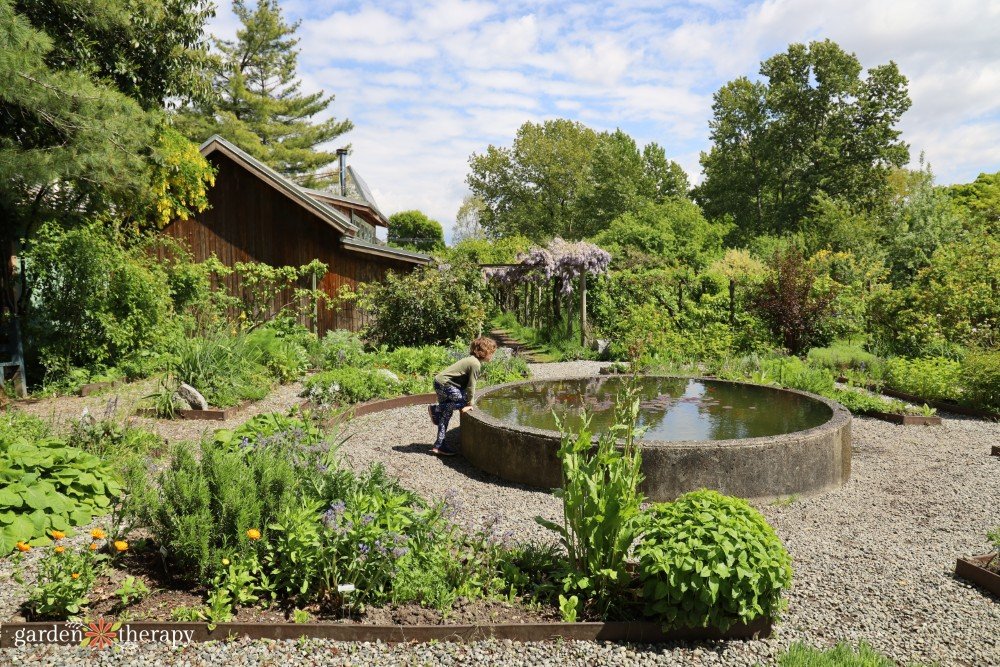 Buddha pond Strathcona Gardens