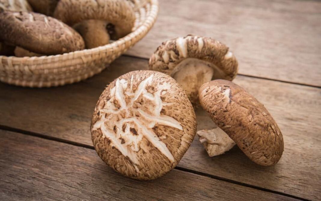 shutterstock_252288955.jpg Earthy Umami Magic for Soups, Stir-Fries & Bacon Swaps – One Green Planet