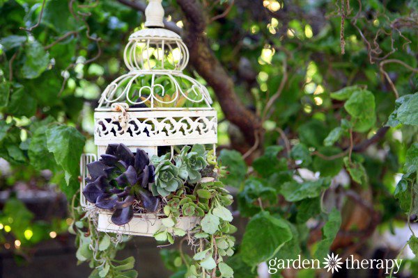 DIY Birdcage Succulent Planter