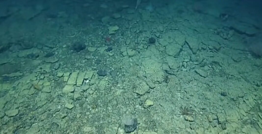 Scientists discover 'yellow brick road' deep under the sea, and the explanation is even more surprising  