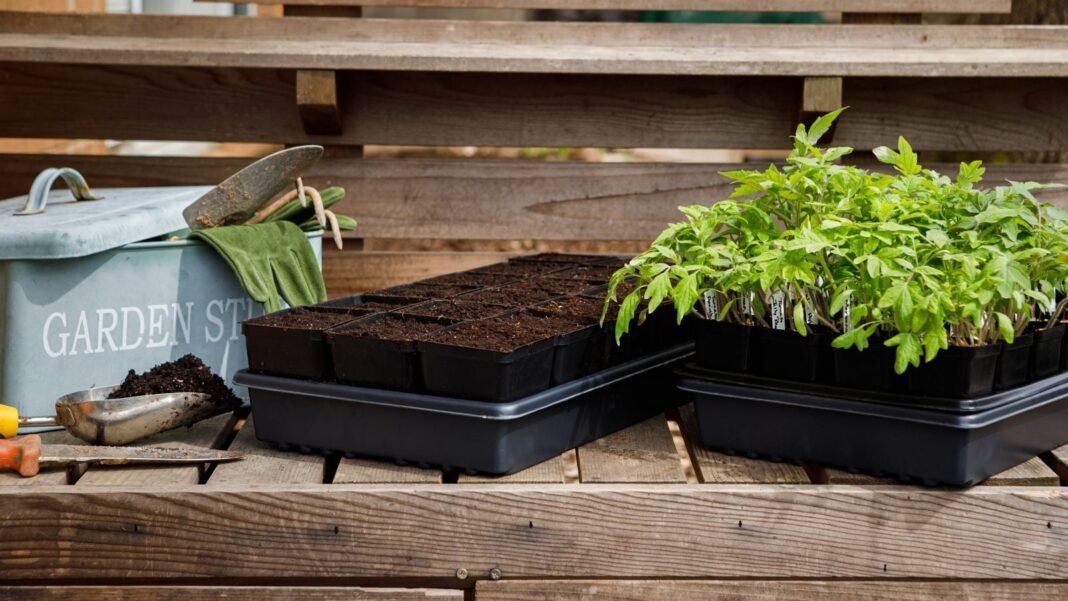 Tools-and-supplies-to-start-spring-garden-from-scratch.jpg Tools and supplies to start spring garden from scratch, including a tray of seedlings and other equipment laid on a wooden surface