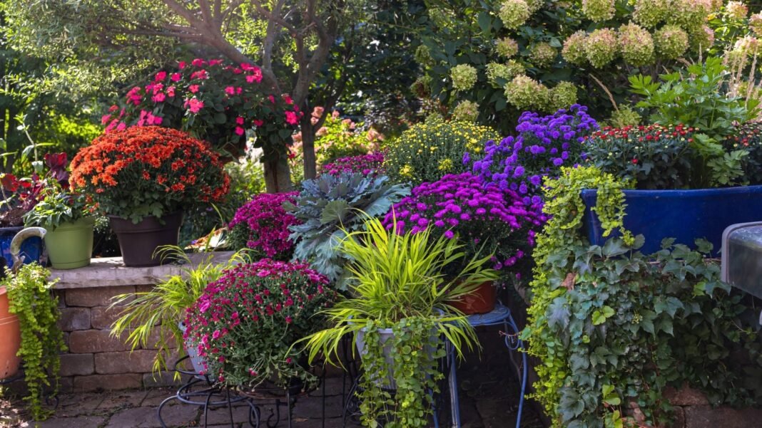 A shot of a large composition potted plants and flowers, all situated in a yard area, showcasing perennial garden containers