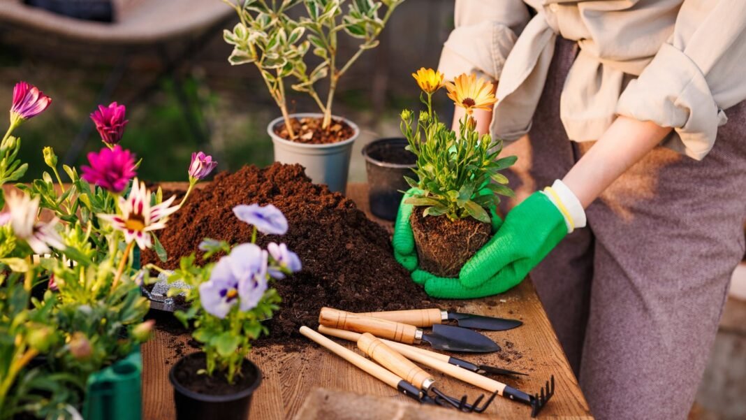 A close-up and overhead shot of a person in the process of tending to developing plants and flowers, showcasing does gardening zone matter