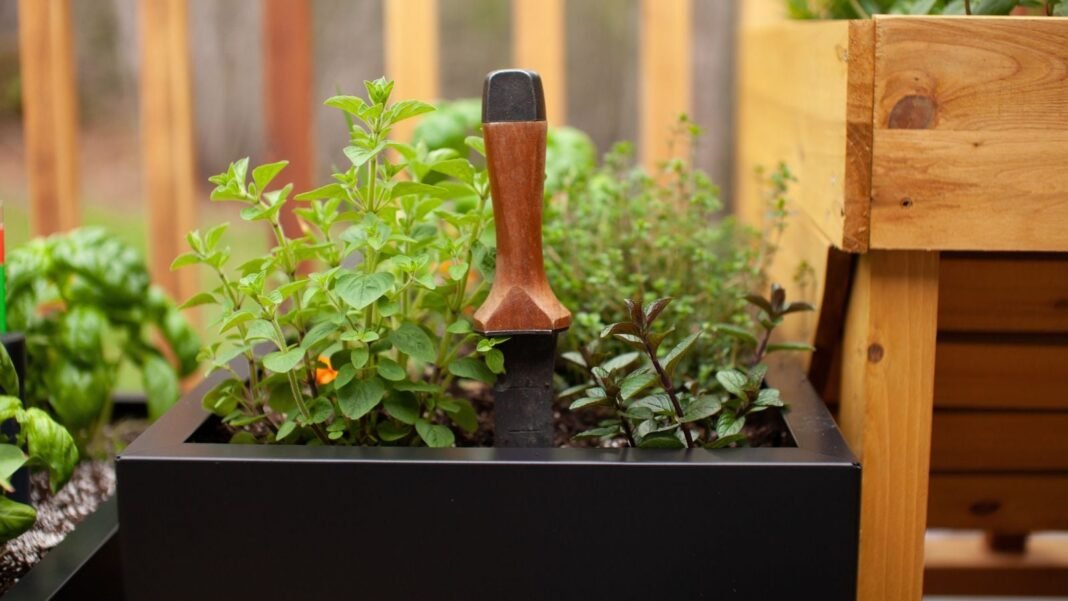 A close-up shot of a single, upright hori hori knife, placed on a container fileld with soil and plants, showcasing Japanese gardening tools