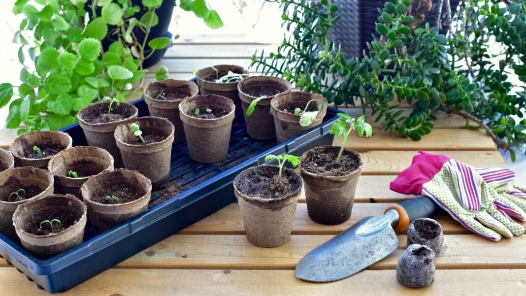 A close-up shot of a tray and several gardening equipment and tools, alongside nursery pots with sprouting plants, showcasing may seed starting