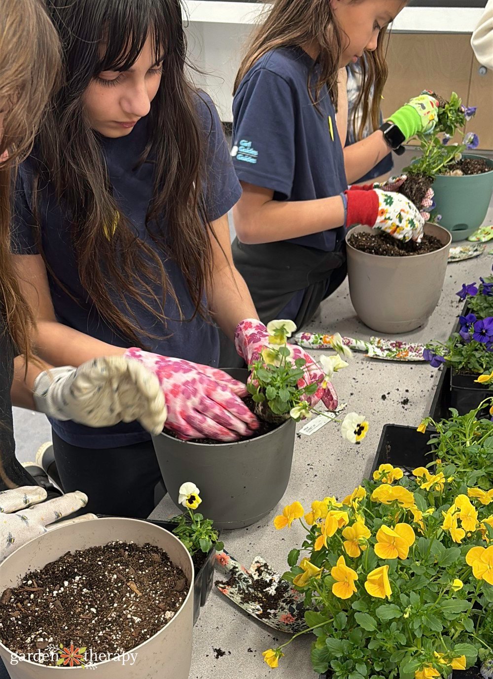 making lily bulb planters