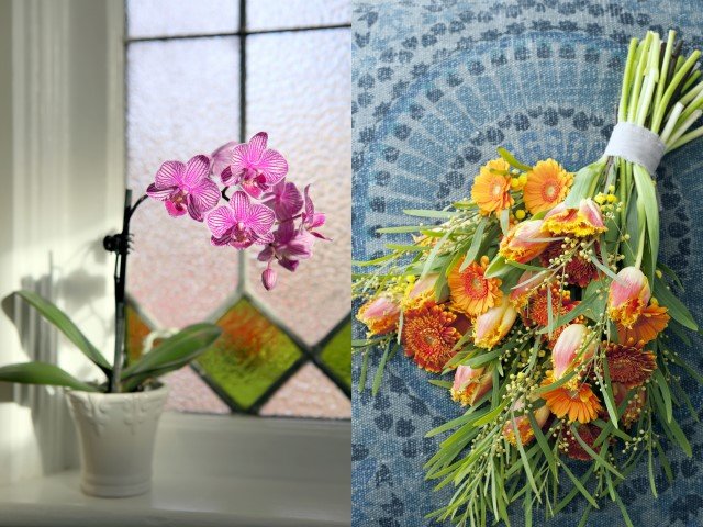 What's up with a Bouquet? Flower Meaning and Symbolism
