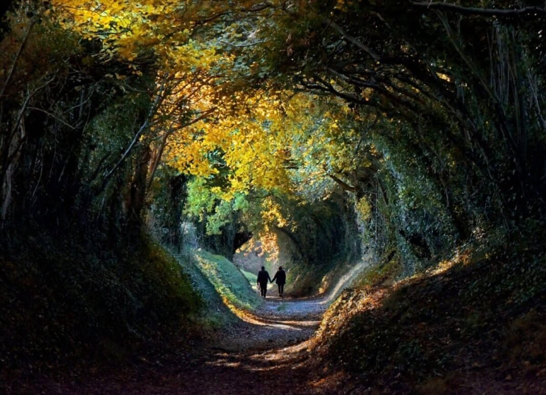3 UK stocks to consider owning for 10 years in Tree lined "tunnel" in the English countryside of West Sussex in autumn